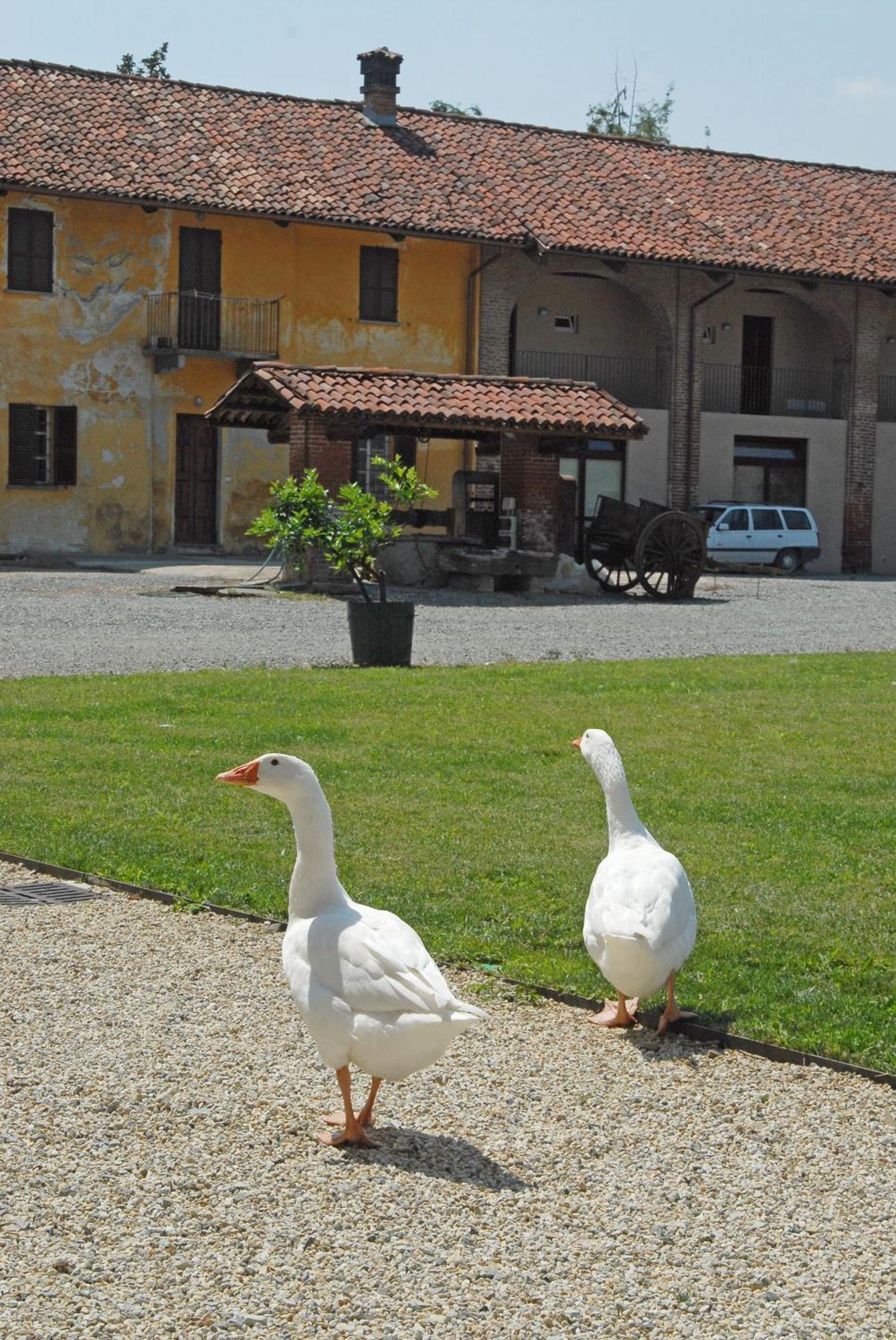 Hotel Antico Podere Propano Saluzzo Ngoại thất bức ảnh